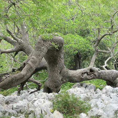 Bed & Breakfast Le Stanze Di Patika 4*