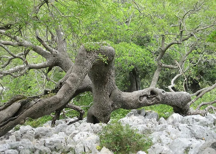Panzió Le Stanze Di Patika 4*